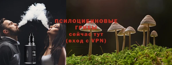 гидропоника Ессентукская