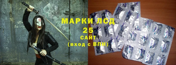 прущие грибы Карпинск