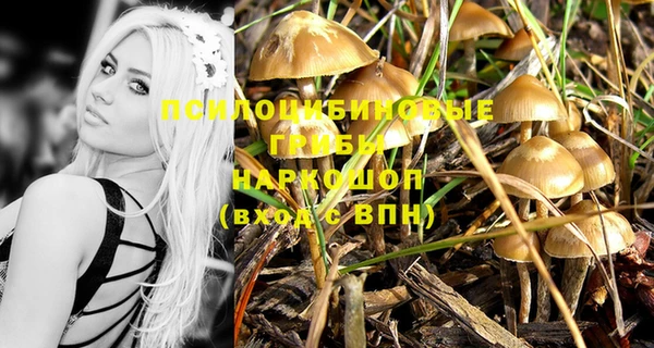 амфетамин Каменногорск
