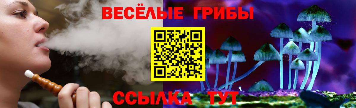 Галлюциногенные грибы Psilocybine cubensis  Вход с VPN  Миллерово  Псилоцибиновые грибы GOLDEN TEACHER 