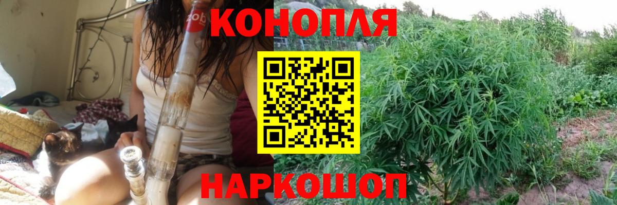 Шишки марихуана ГИДРОПОН  Каннабис сатива  Вход с VPN  Миллерово 